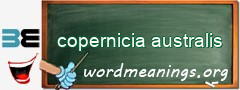 WordMeaning blackboard for copernicia australis